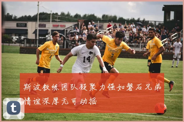 斯波教练团队凝聚力强如磐石兄弟情谊深厚无可动摇