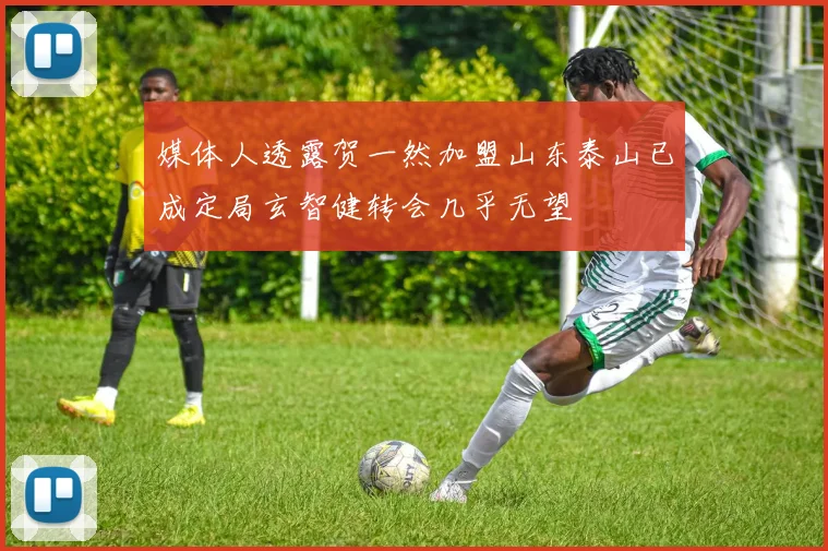 媒体人透露贺一然加盟山东泰山已成定局玄智健转会几乎无望