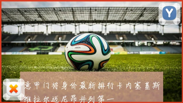 意甲门将身价最新排行卡内塞基斯维拉尔迈尼昂并列第一